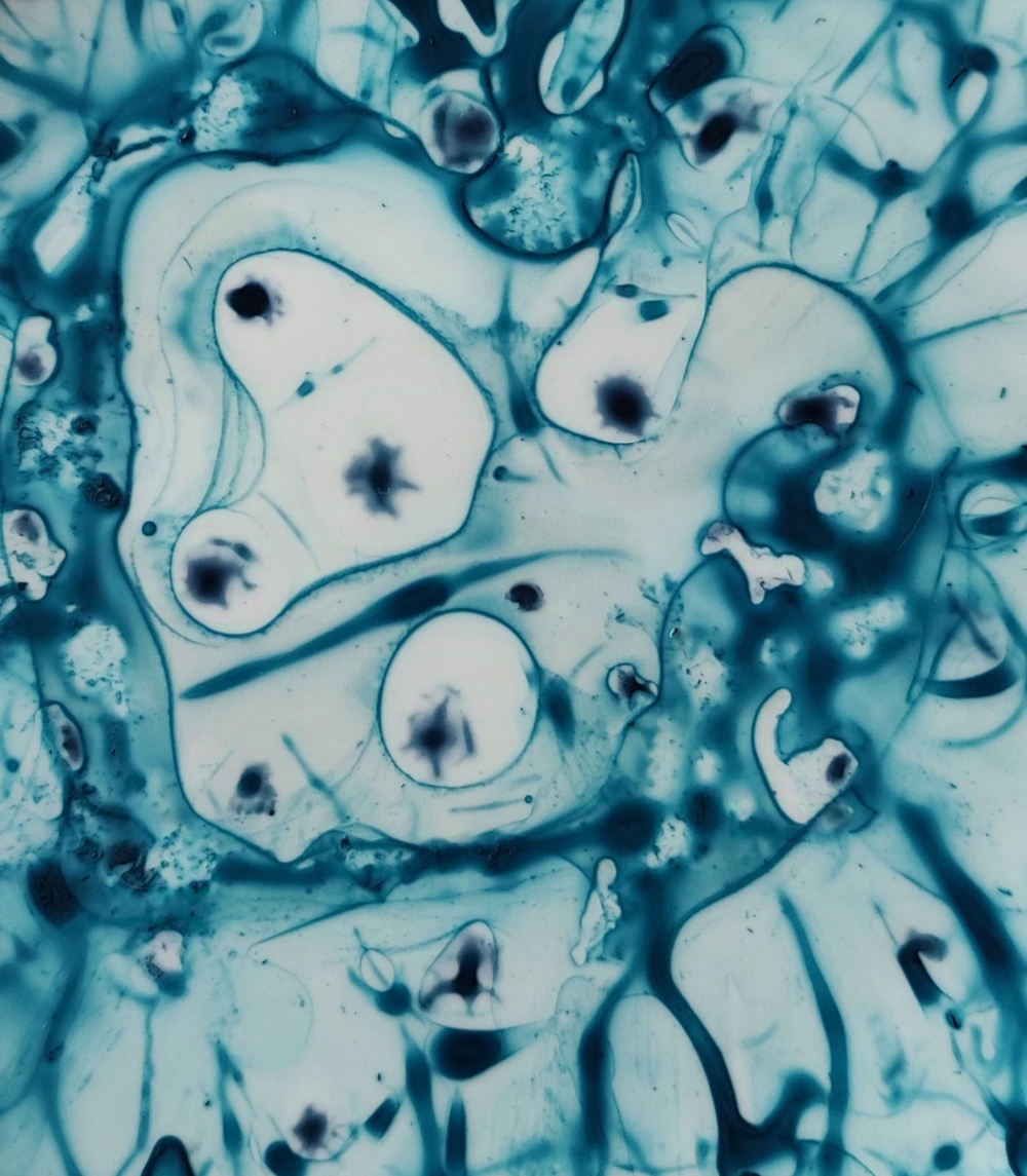 img of My bio art